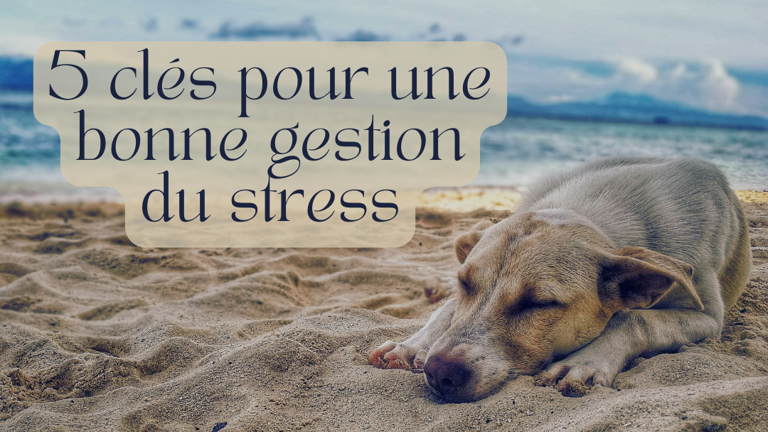 5 clés pour une bonne gestion du stress