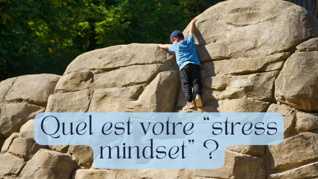 Stress mindset